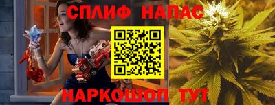 индика Лесосибирск